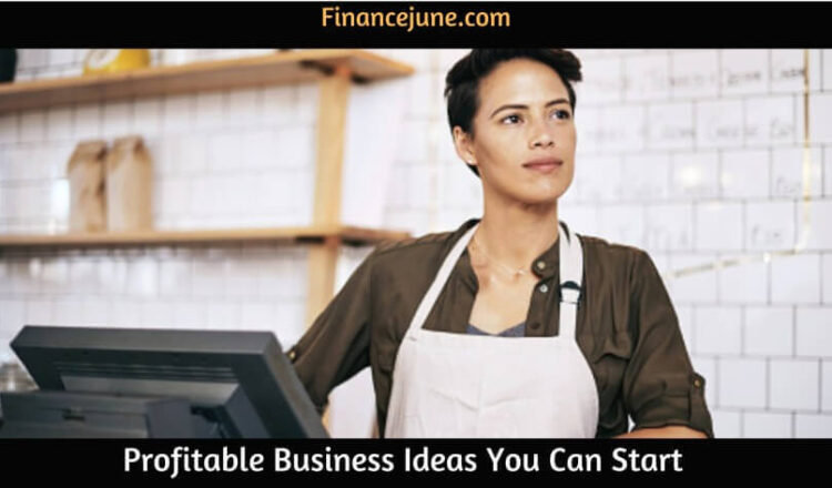 Profitable Business Ideas You Can Start